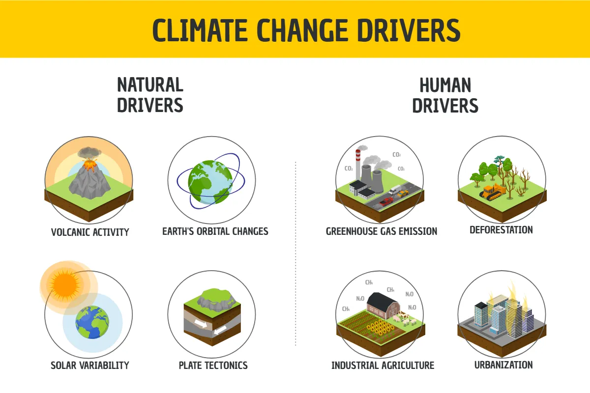 Climate Change Drivers