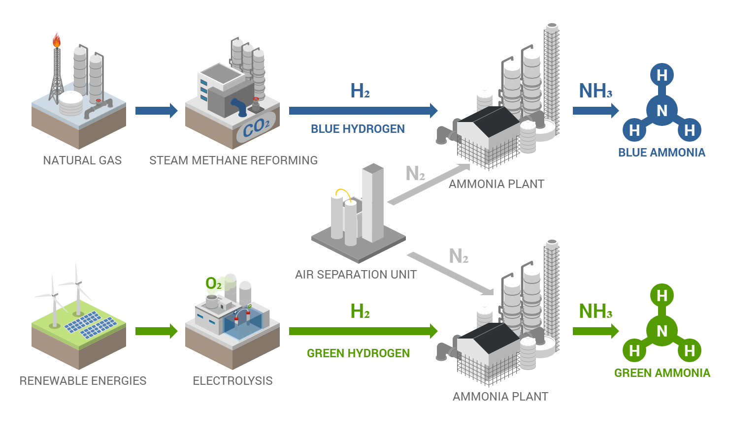 Green and Blue Ammonia