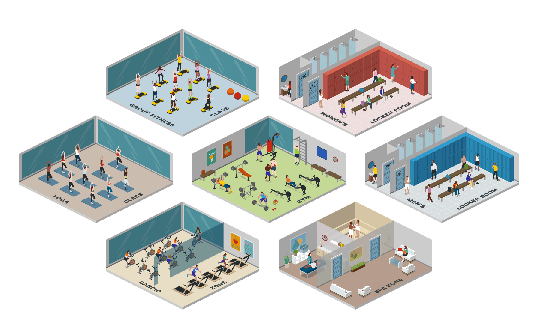 GYM areas