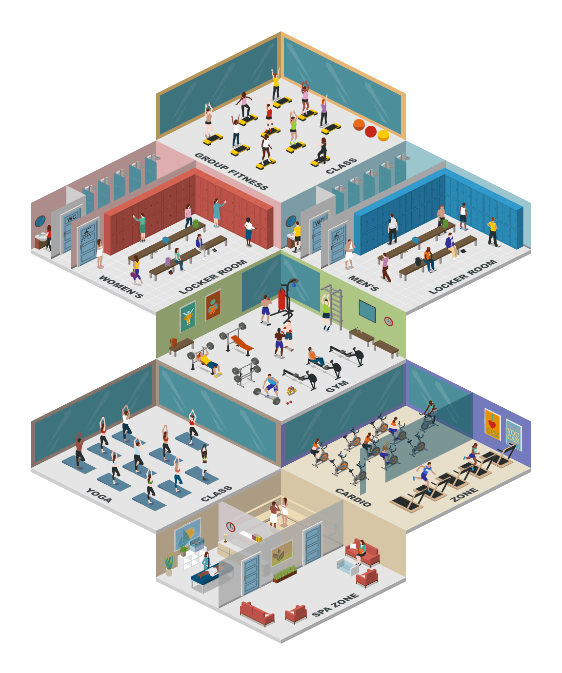 GYM zones