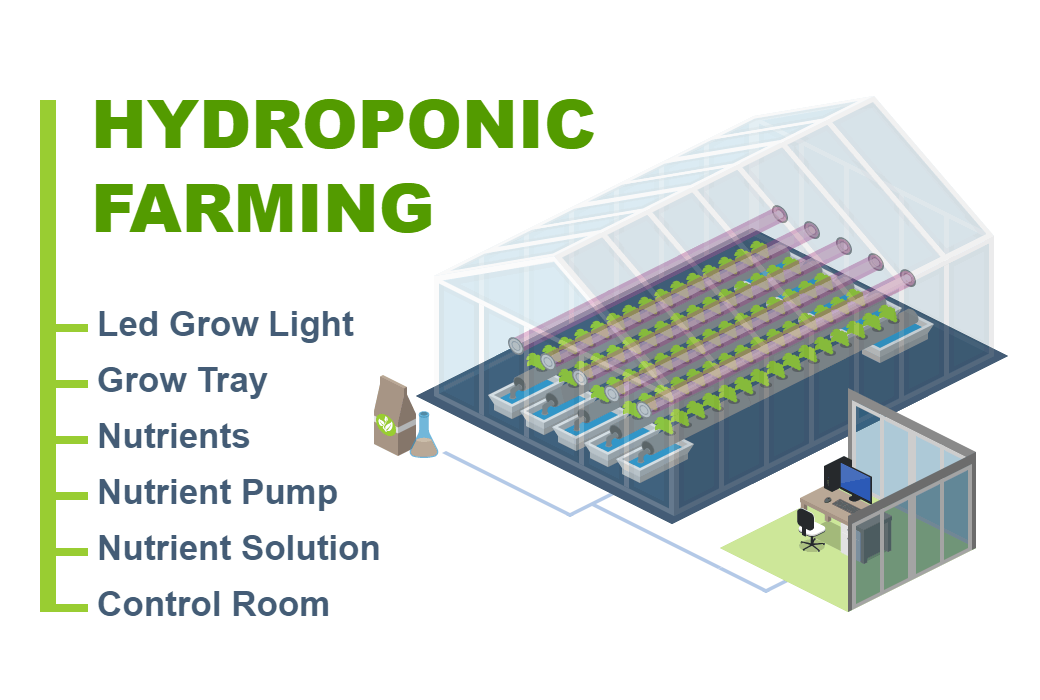Hydroponic Farming