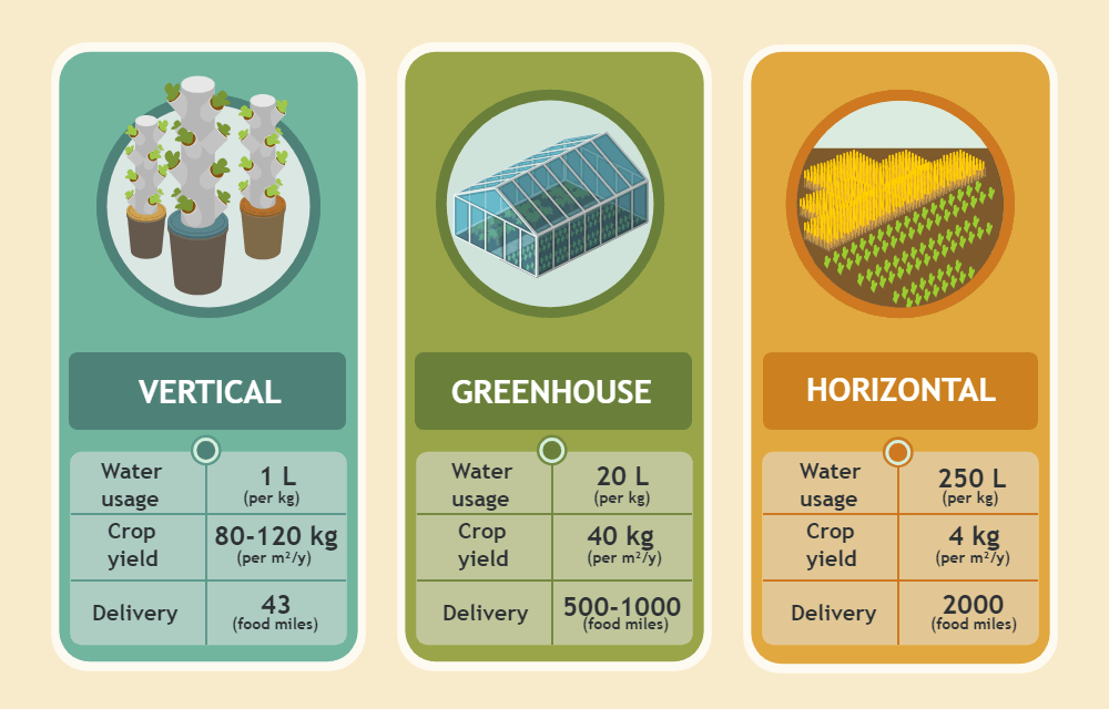 Lettuce Farming