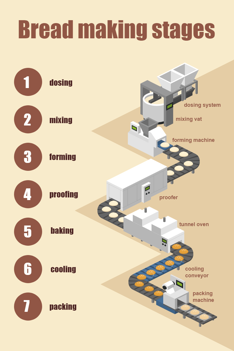 Bread Making Stages