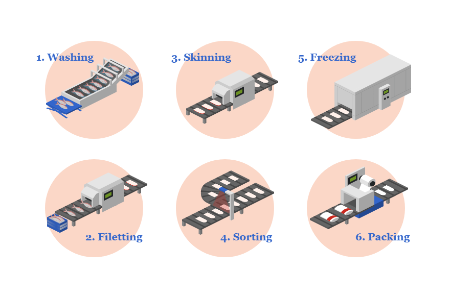 Fish Processing Steps