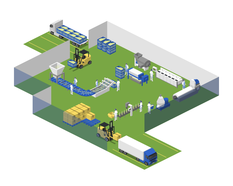 Olive Oil Production