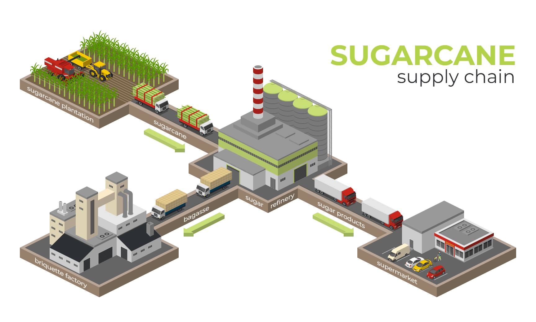 Sugarcane Supply Chain