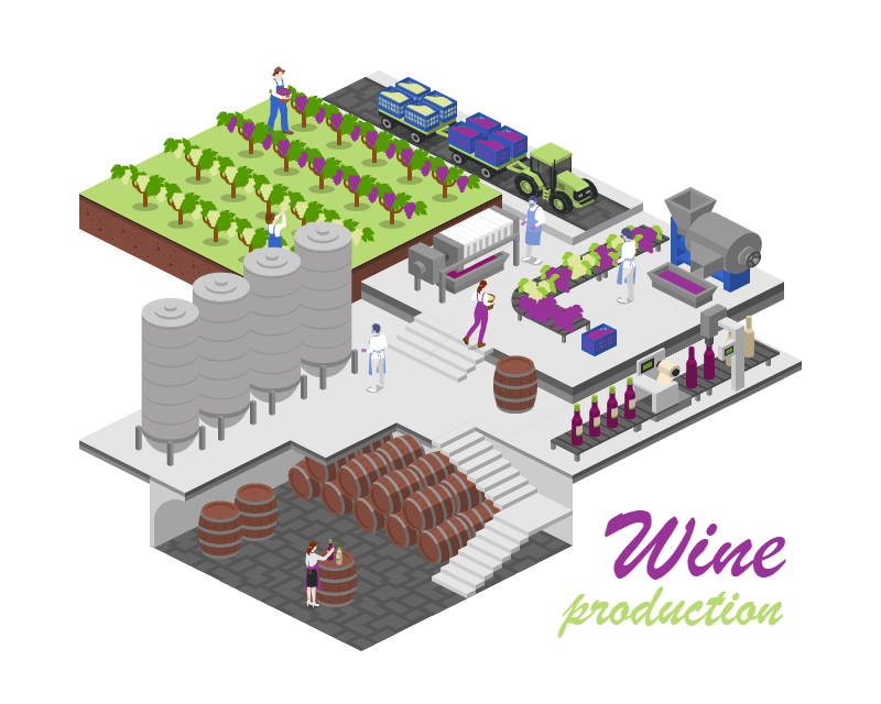 Wine Production