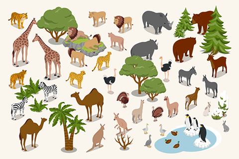 Animals