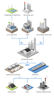Ammonia Production