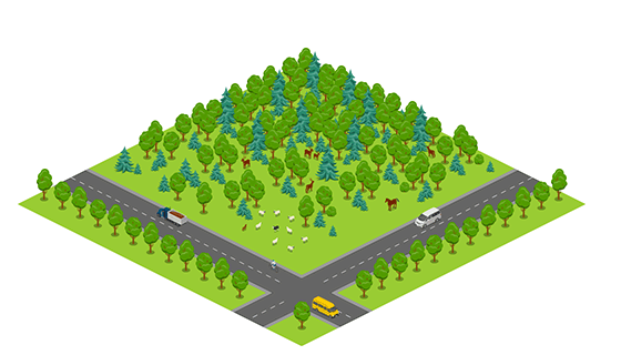 Area - Forest