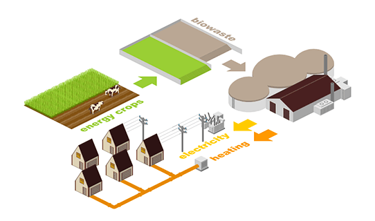 From biowaste to energy and heat