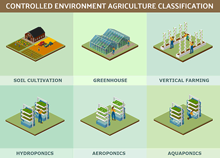 CEA Classification