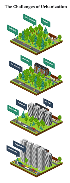 Urbanization Challenges