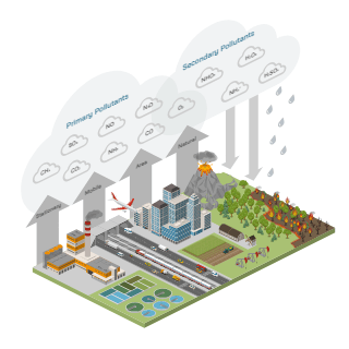 Effects of Air Pollution