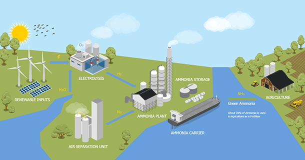 Green Ammonia Production
