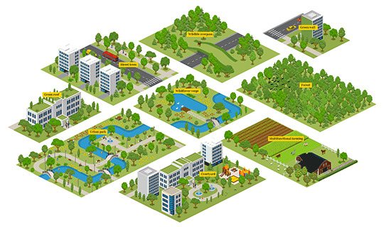 Green Infrastructure Components