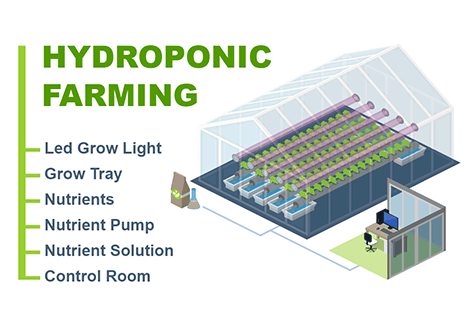 Hydroponic Farming