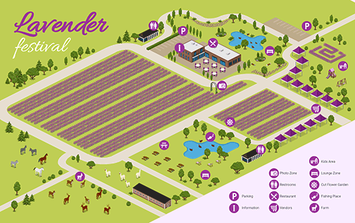 Lavender Festival