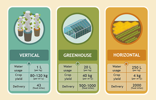 Lettuce Farming