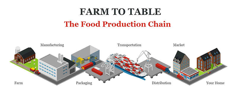Farm To Table