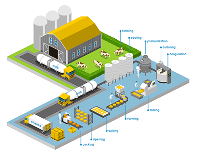 Cheese Production