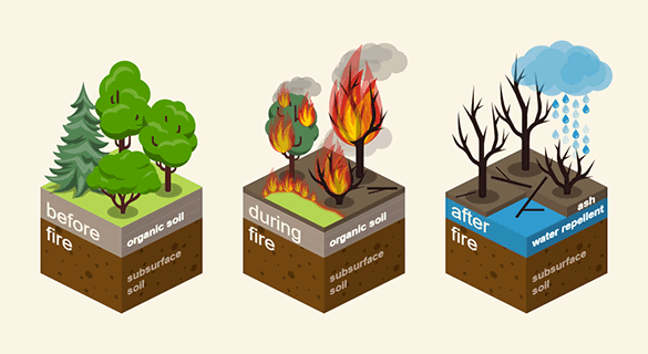 Post-Fire Hazards