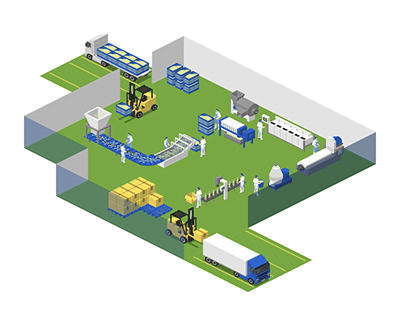 Olive Oil Production