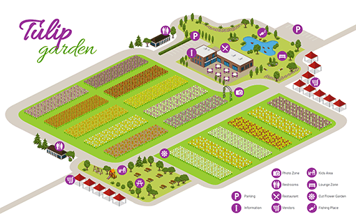 Tulip Garden