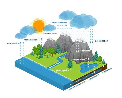 Water Cycle Diagram