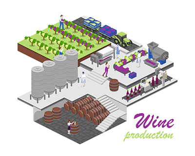 Wine Production